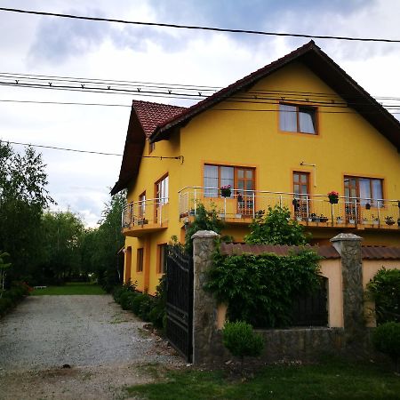 Pensiunea Ramona Cărpinişu Kültér fotó