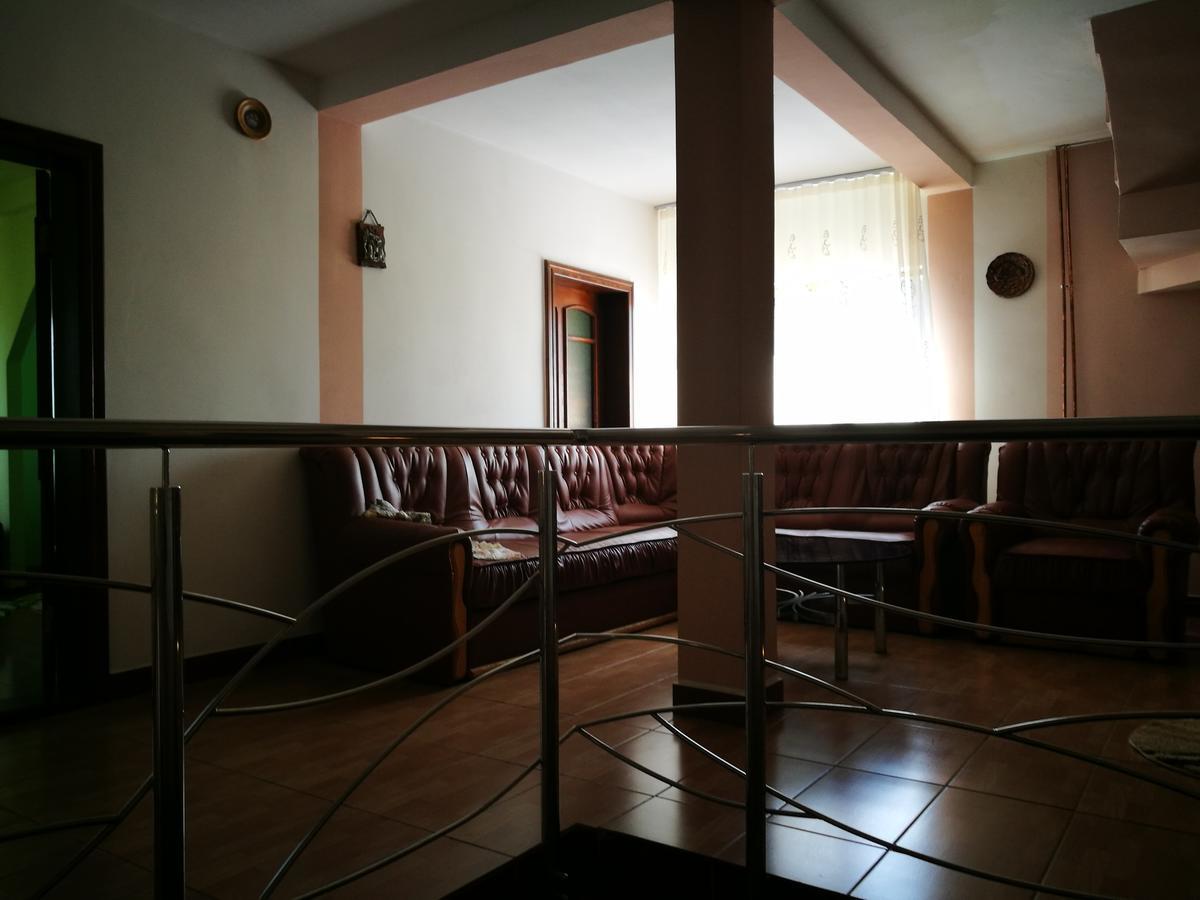 Pensiunea Ramona Cărpinişu Kültér fotó