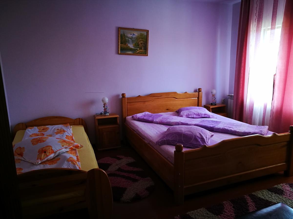 Pensiunea Ramona Cărpinişu Kültér fotó