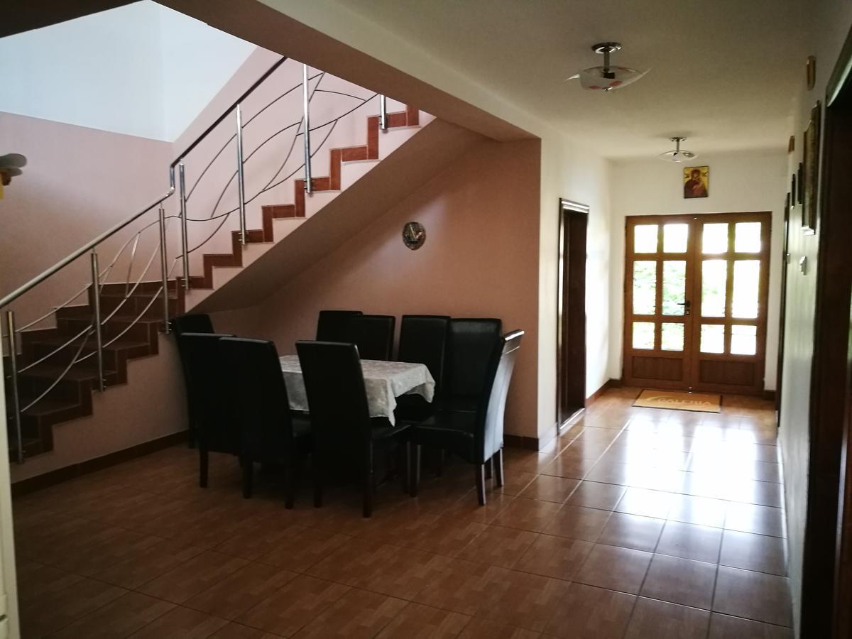 Pensiunea Ramona Cărpinişu Kültér fotó