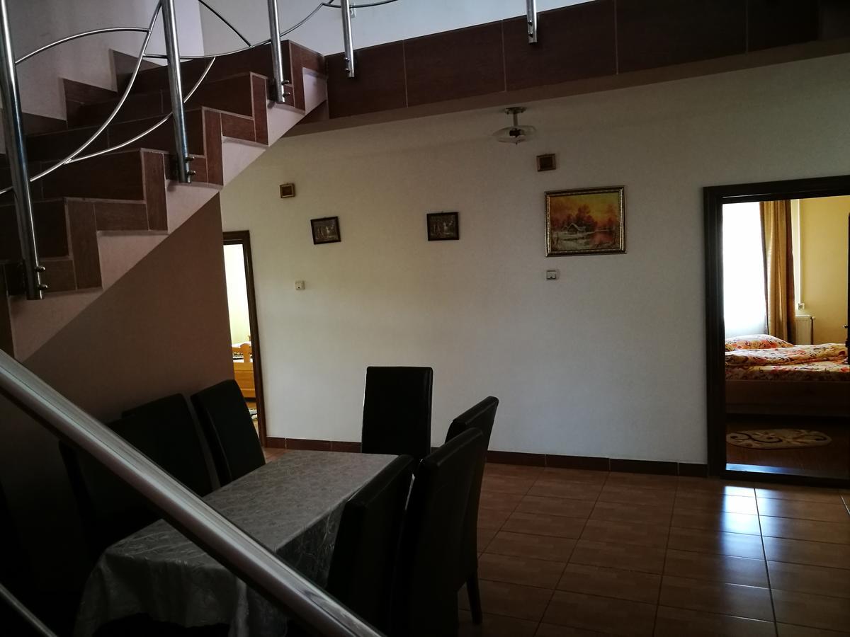 Pensiunea Ramona Cărpinişu Kültér fotó