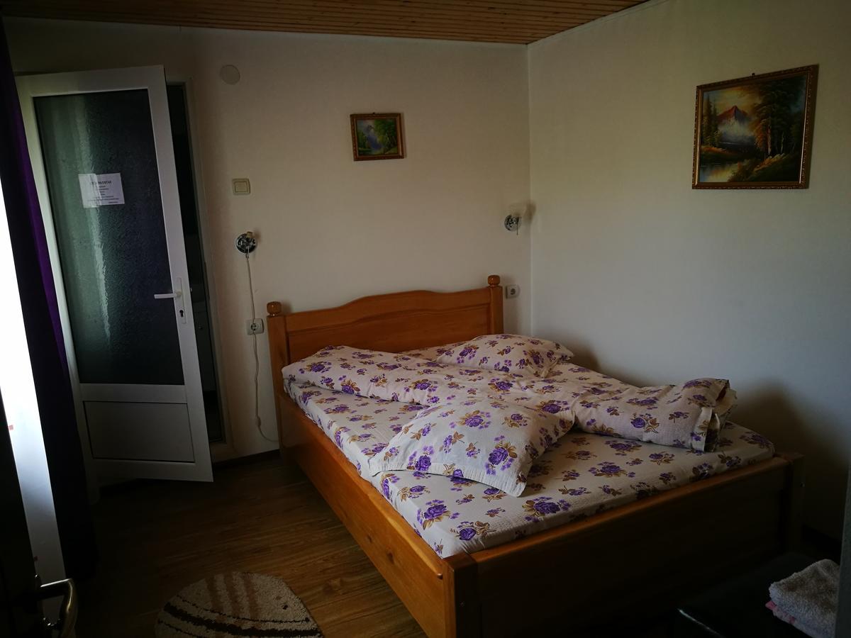 Pensiunea Ramona Cărpinişu Kültér fotó