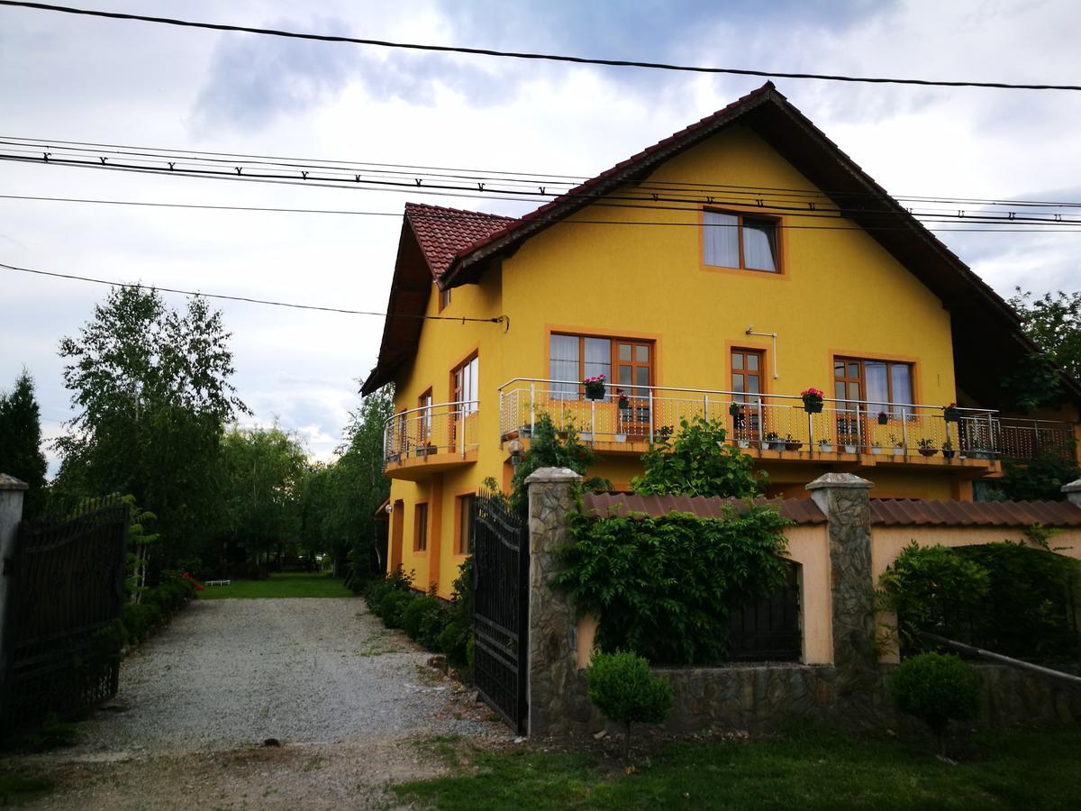 Pensiunea Ramona Cărpinişu Kültér fotó