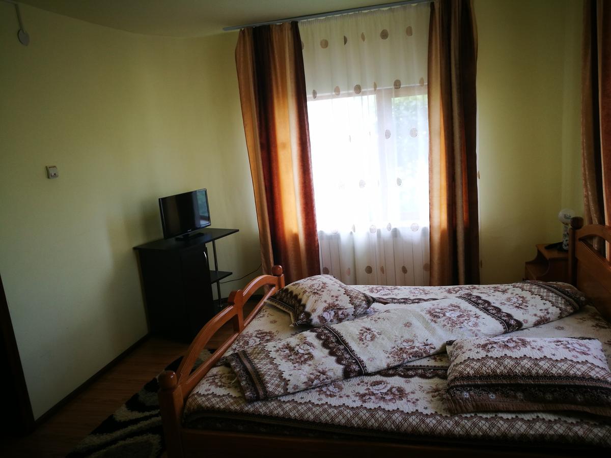 Pensiunea Ramona Cărpinişu Kültér fotó