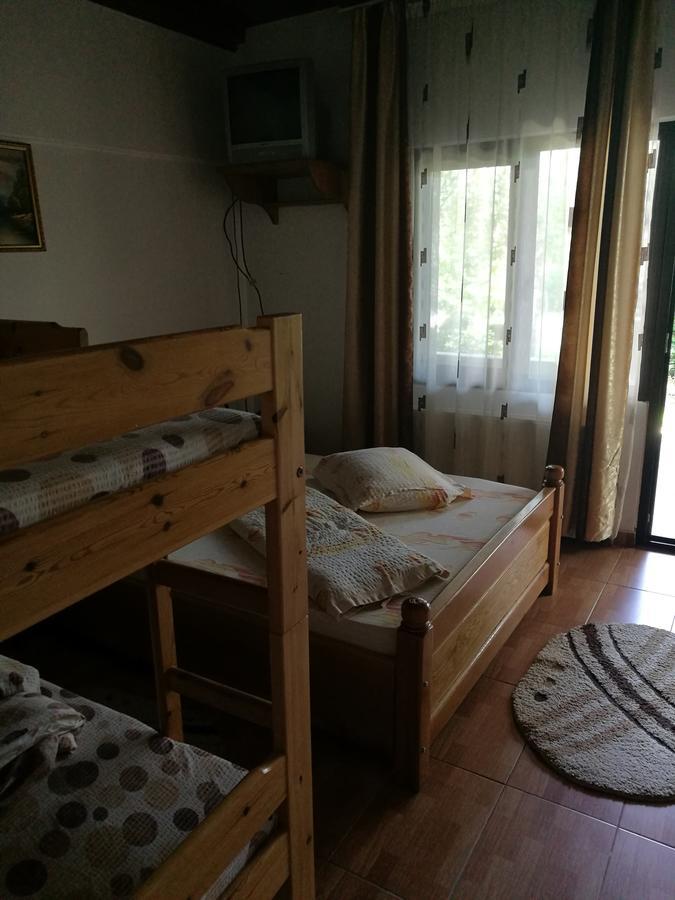 Pensiunea Ramona Cărpinişu Kültér fotó