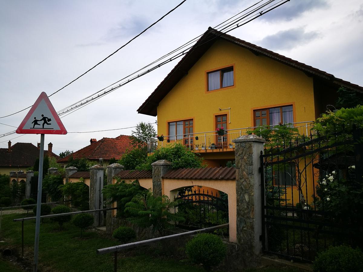 Pensiunea Ramona Cărpinişu Kültér fotó