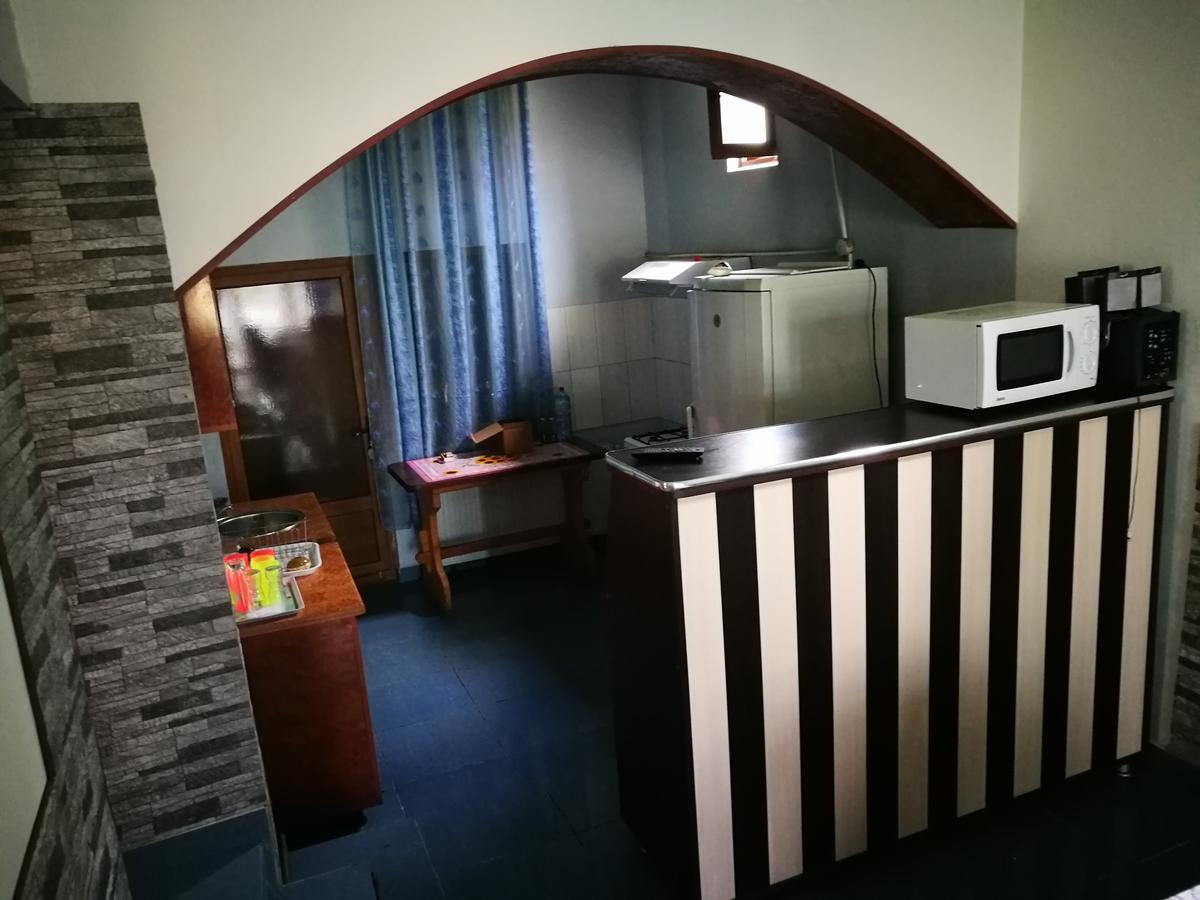 Pensiunea Ramona Cărpinişu Kültér fotó