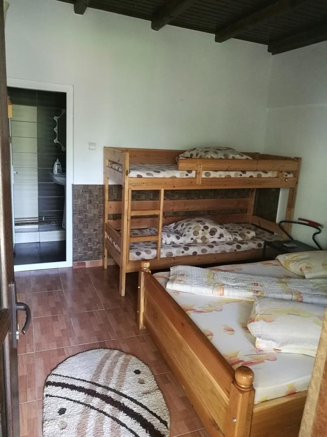 Pensiunea Ramona Cărpinişu Kültér fotó